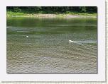 At Dingmans Ferry 04 * 612 x 461 * (81KB)